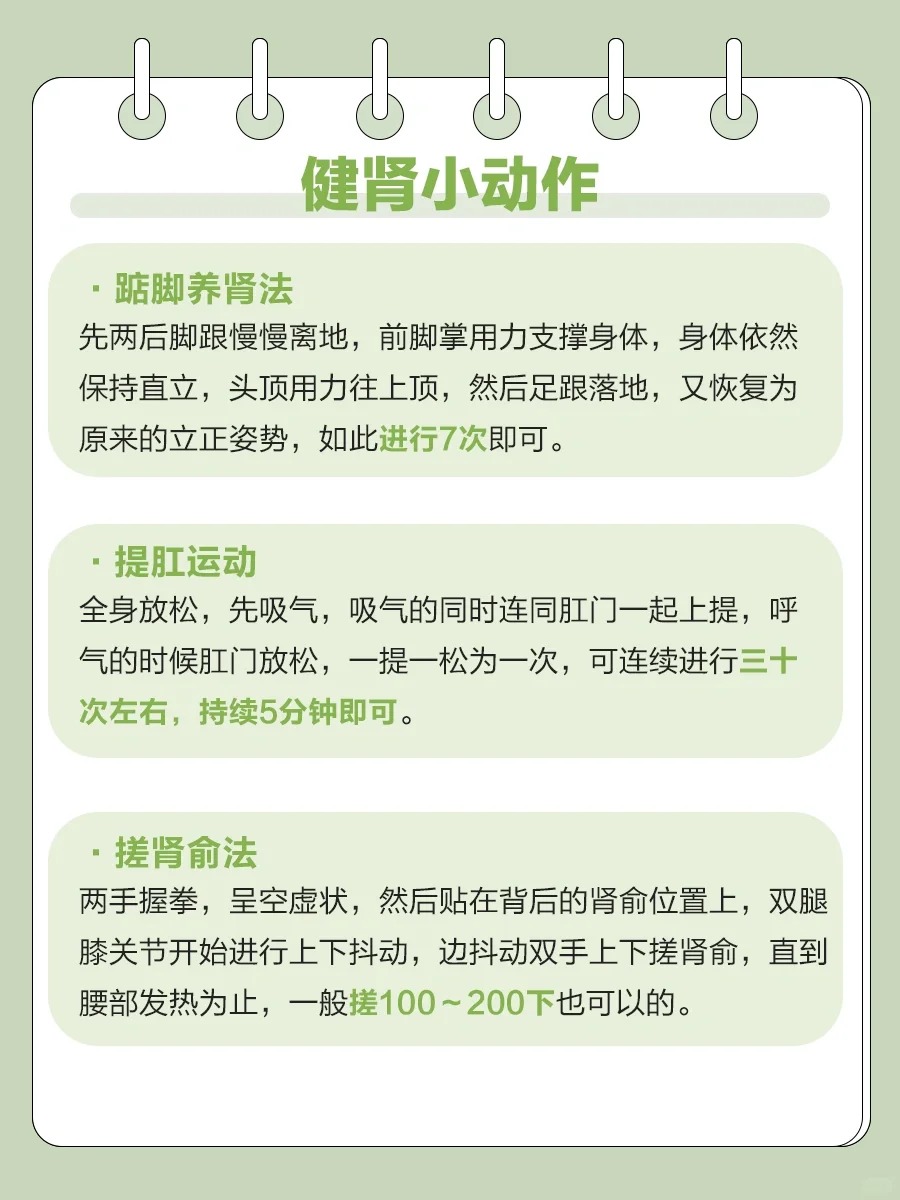 肾气足人不老｜保姆级养肾攻略来啦！。肾为先天之本，是主宰生命活力的核心系统。▪️黑色食物最养肾🖤（黑豆/黑芝麻/桑葚）。▪️早睡早起藏肾精🌙（23点前入睡最佳）。▪️踮脚+揉腰=天然肾宝💆
